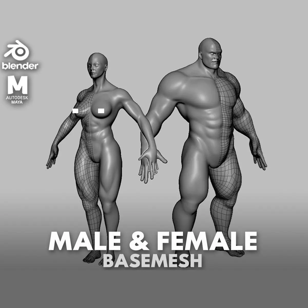 Muscular Male n Female Basemesh 3D Model Collection_0