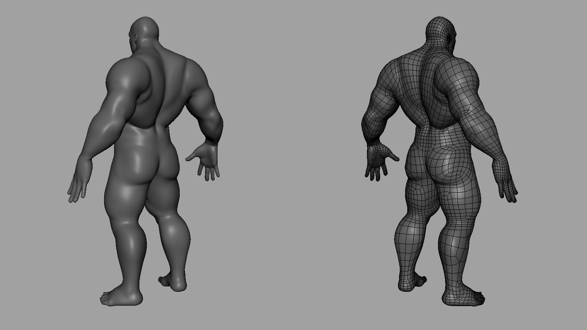 Muscular Male n Female Basemesh 3D Model Collection_13