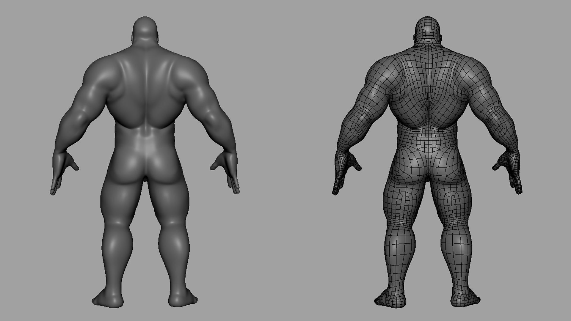 Muscular Male n Female Basemesh 3D Model Collection_14