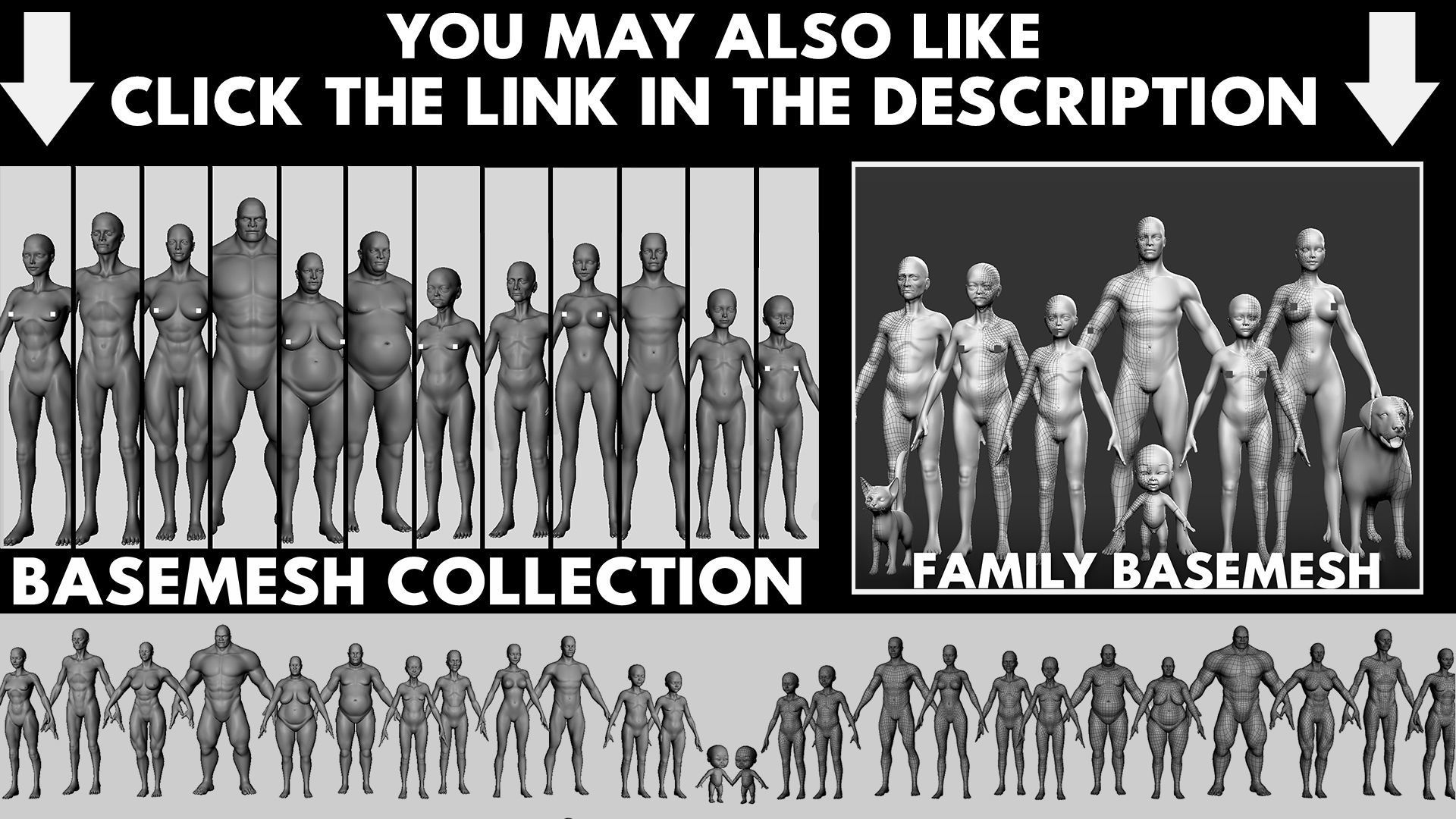 Muscular Male n Female Basemesh 3D Model Collection_2