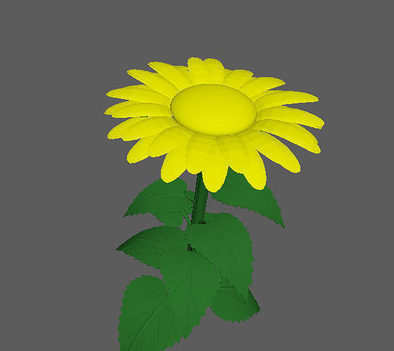 sunflower plant Low-poly 3D model