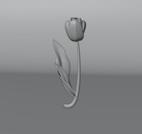 TULIP FLOWER 3D model_3