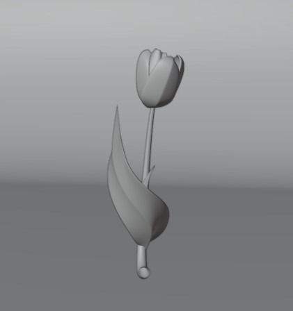 TULIP FLOWER 3D model_5