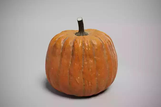 pumpkin PBR low model Low-poly 3D model