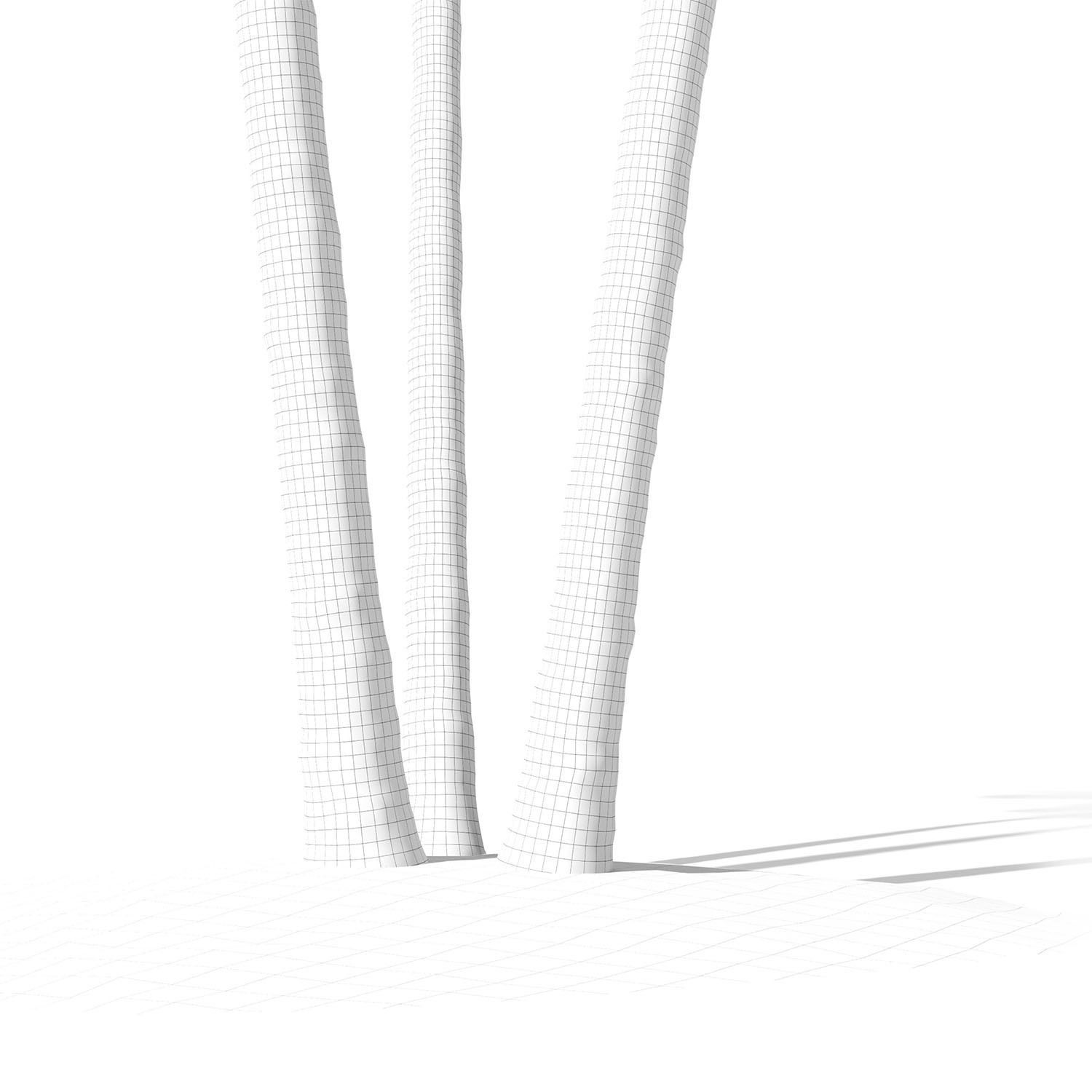 Cocos nucifera palm tree 02 3D model_10