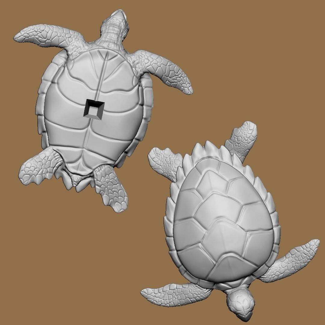 Hawksbill Turtle Sculpture 3D print model_5
