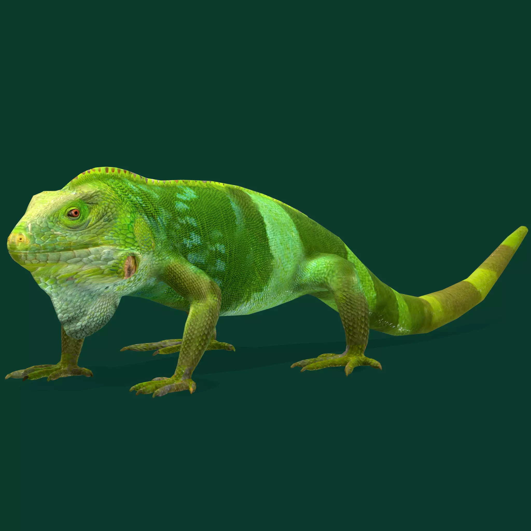 fiji-banded-iguana-endangered-