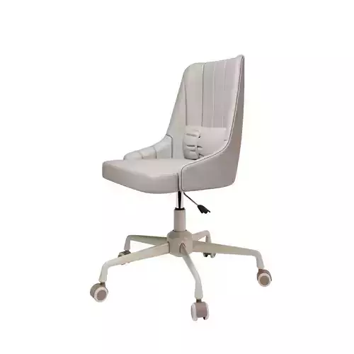 Xiaol Office Chair