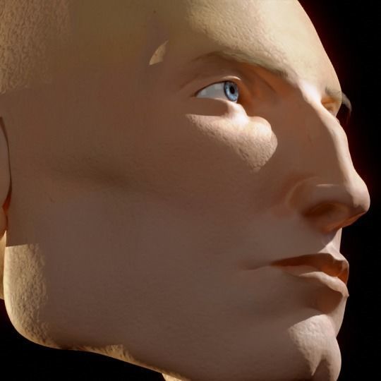 Modified Scott - Realistic Male Human Head 3D Model  3D model_4