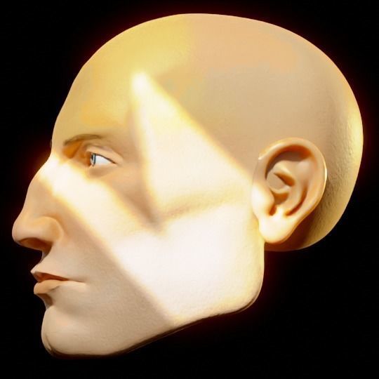 Modified Scott - Realistic Male Human Head 3D Model  3D model_2