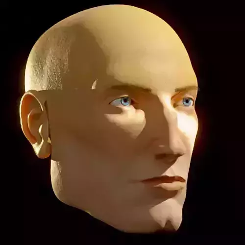 Modified Scott - Realistic Male Human Head 3D Model  3D model