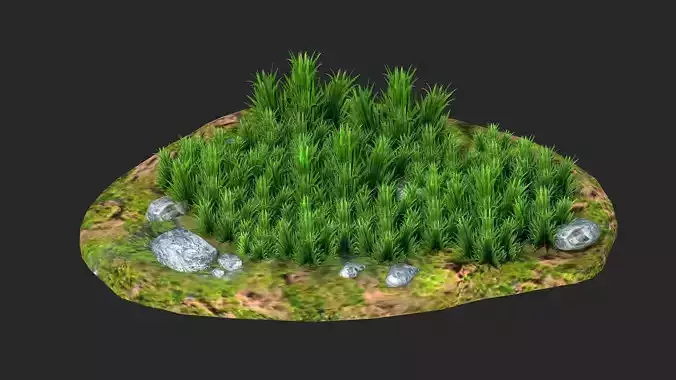 Grass flower grass rocks stones realistic 