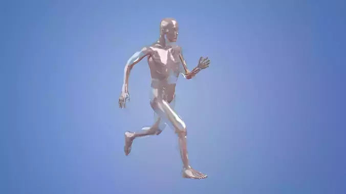 Human body dissection running x-ray  human body  bone 3D model