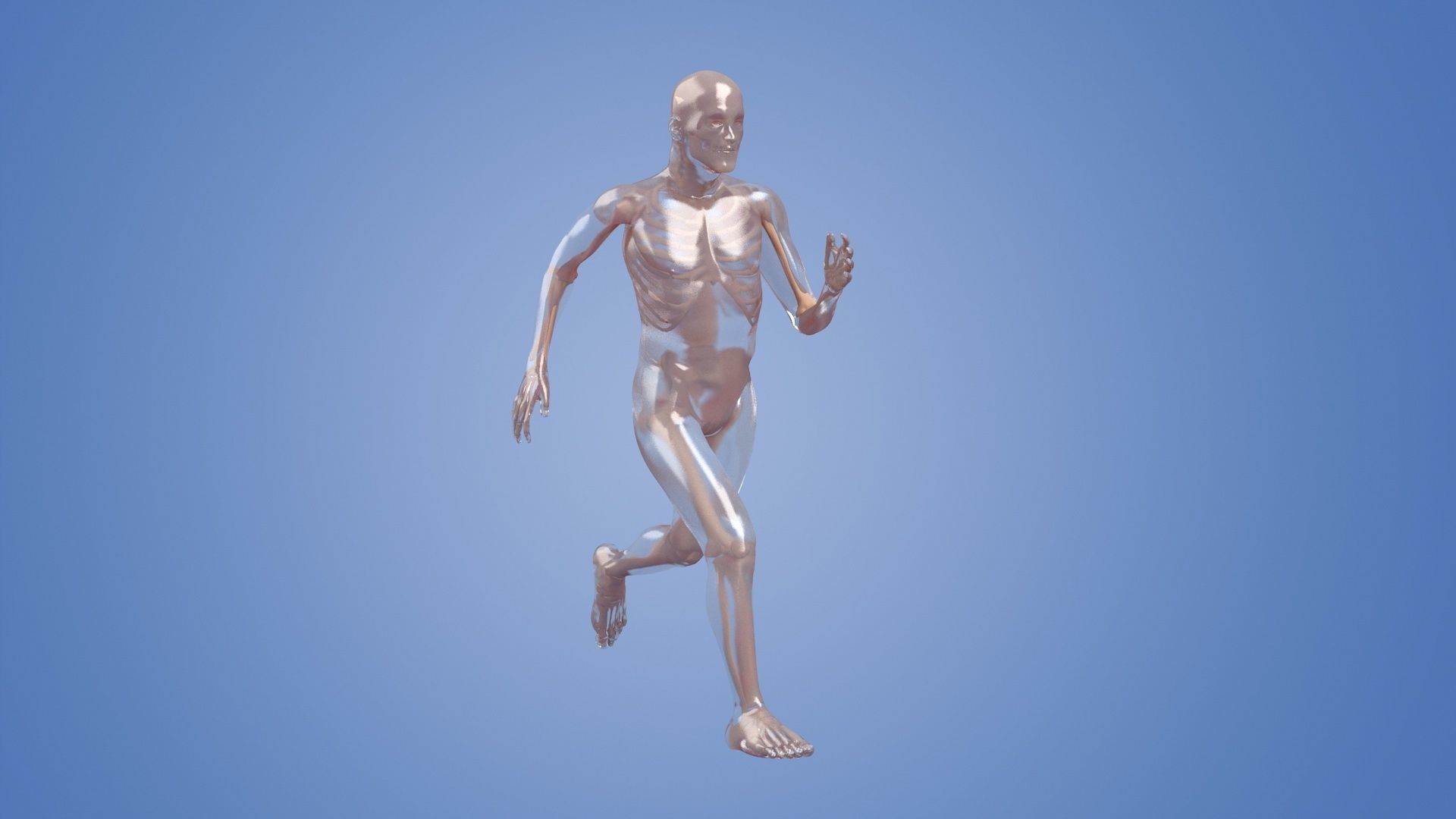 Human body dissection running x-ray  human body  bone 3D model_1