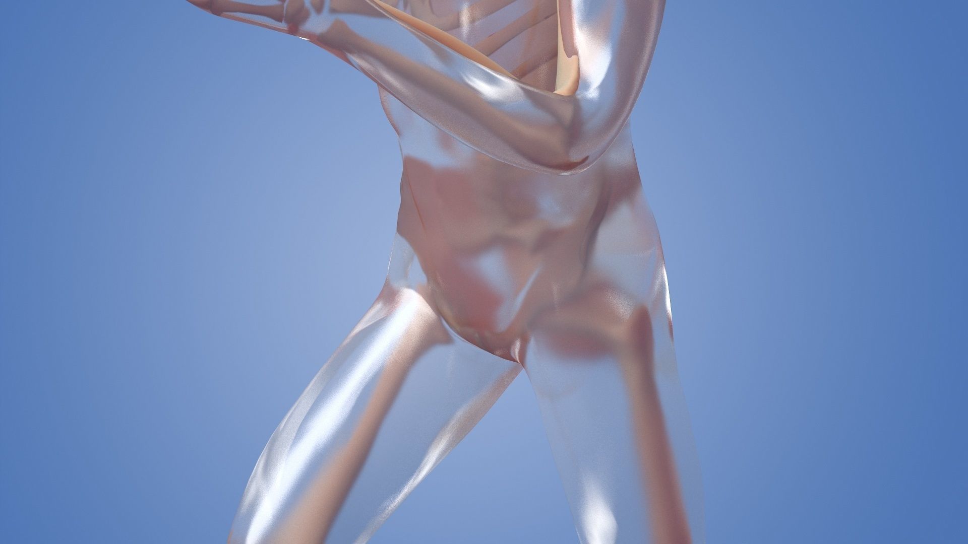Human body dissection running x-ray  human body  bone 3D model_2