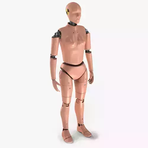 Female Crash Test Dummy -  3 Texture Sets in 1 3D model