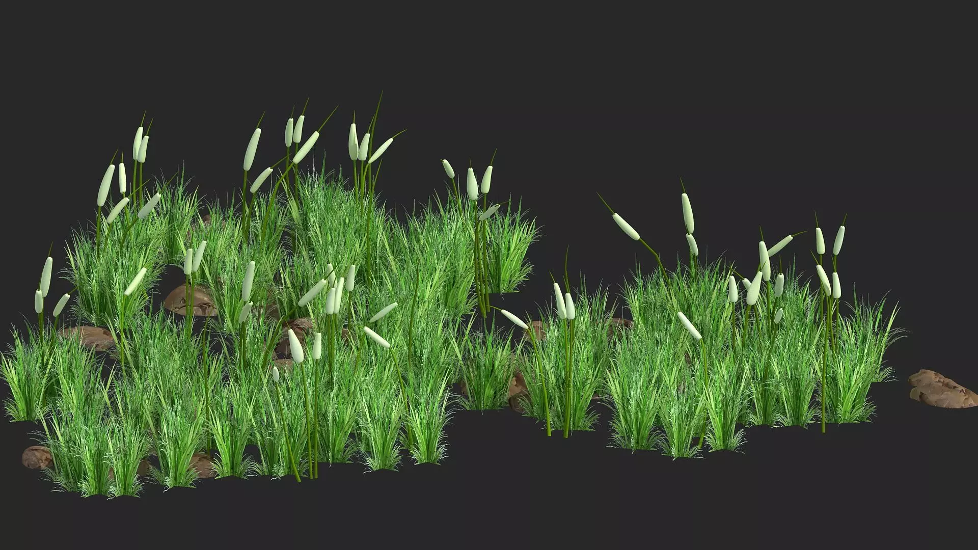 Grass flower grass rocks stones realistic grass lawn 3D model