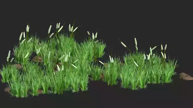 Grass  flower grass rocks stones realistic grass lawn
