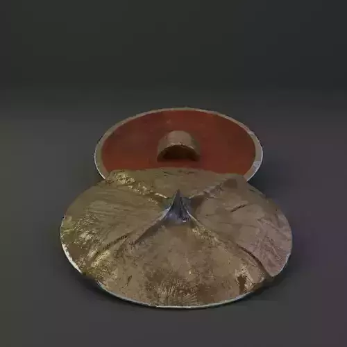 MEDIEVAL shield
