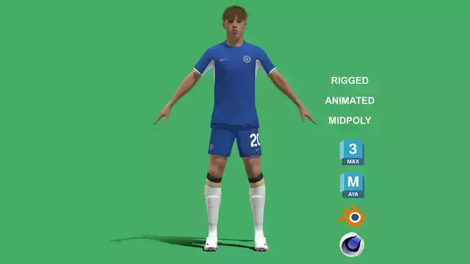 3D Rigged Cole Palmer Chelsea 2024 3D model