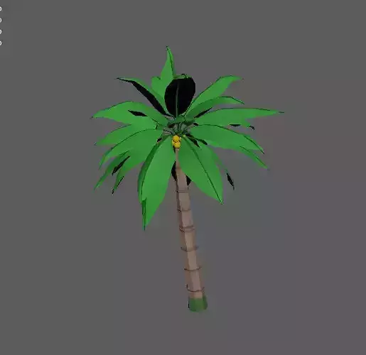 Coconut tree