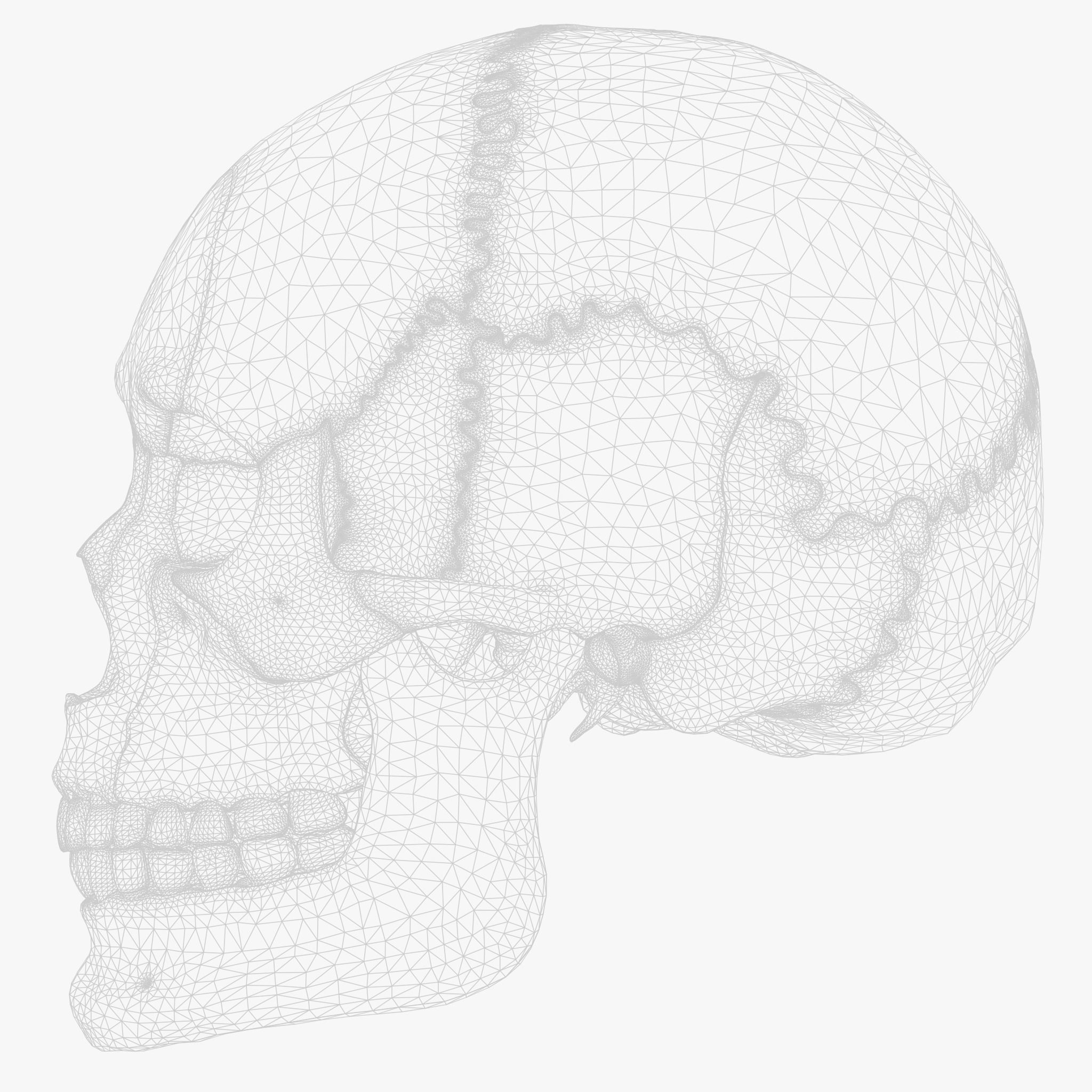 Human Skull Explode Anatomy Atlas V2 3D model_9