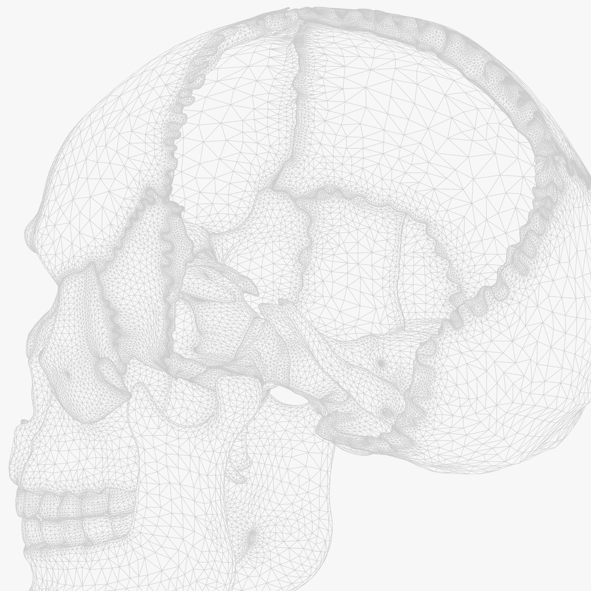 Human Skull Explode Anatomy Atlas V2 3D model_10