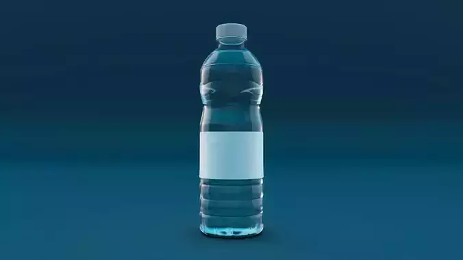 Water Bottle