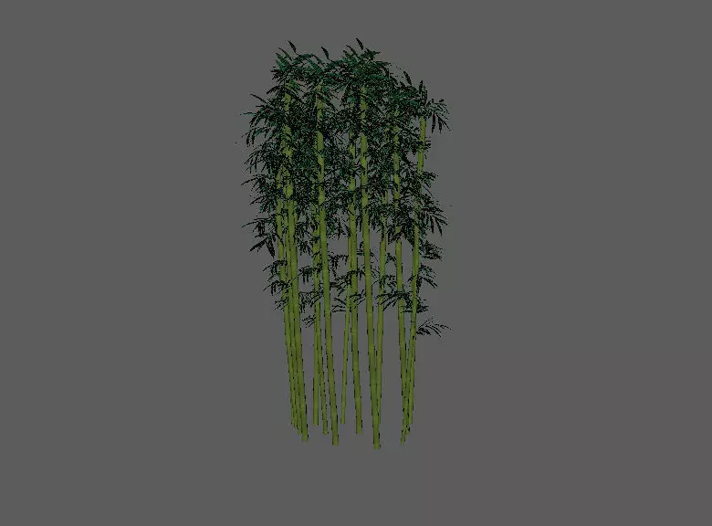 bamboo tree Low-poly 3D model_0
