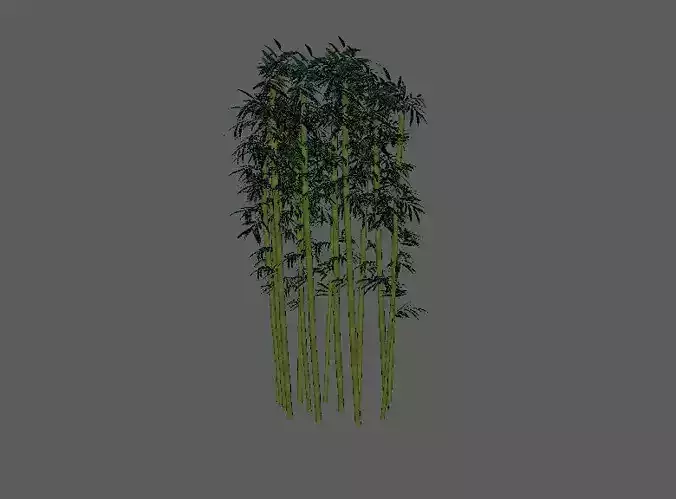 bamboo tree