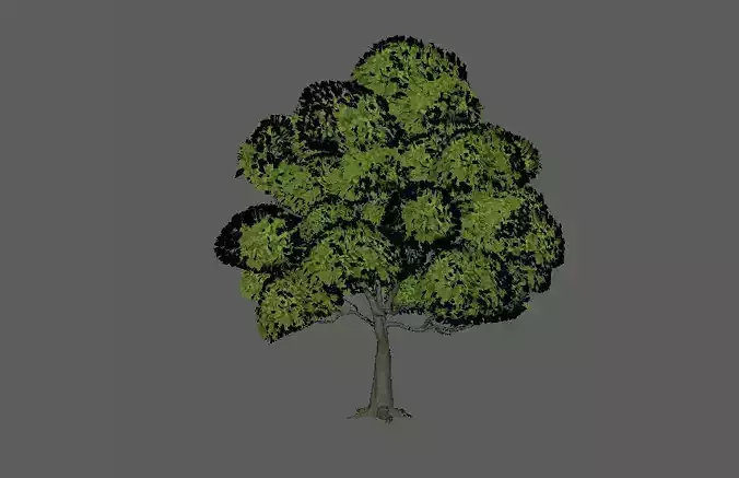 tree 3d model