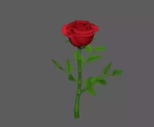 Rose flower