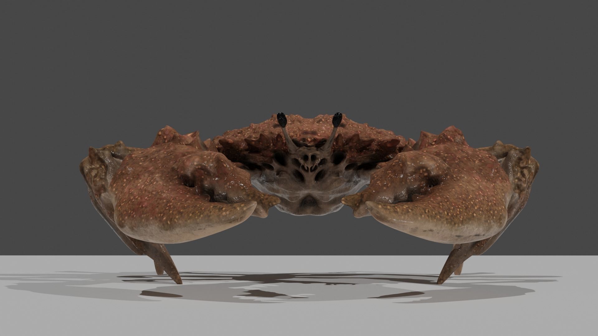 CRAB 001 Free 3D model_5