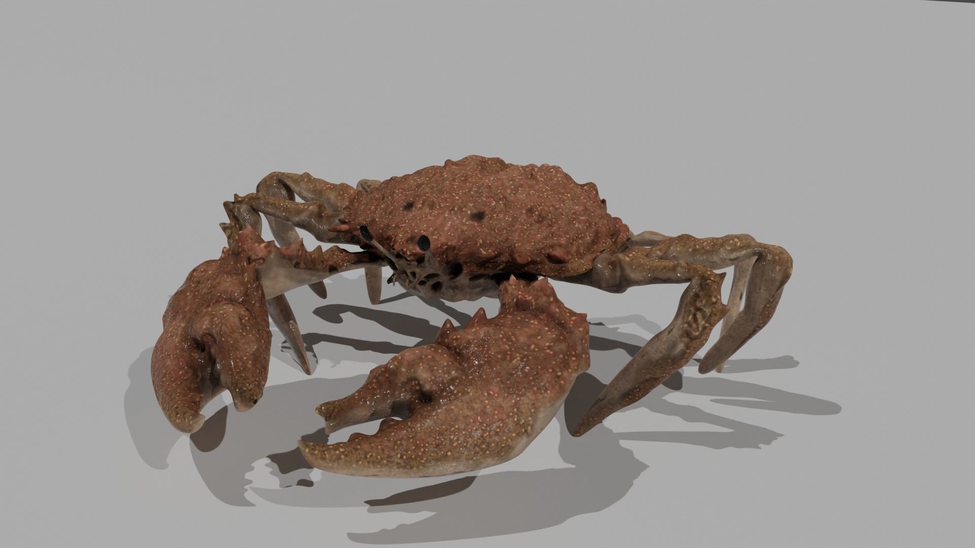 CRAB 001 Free 3D model_1