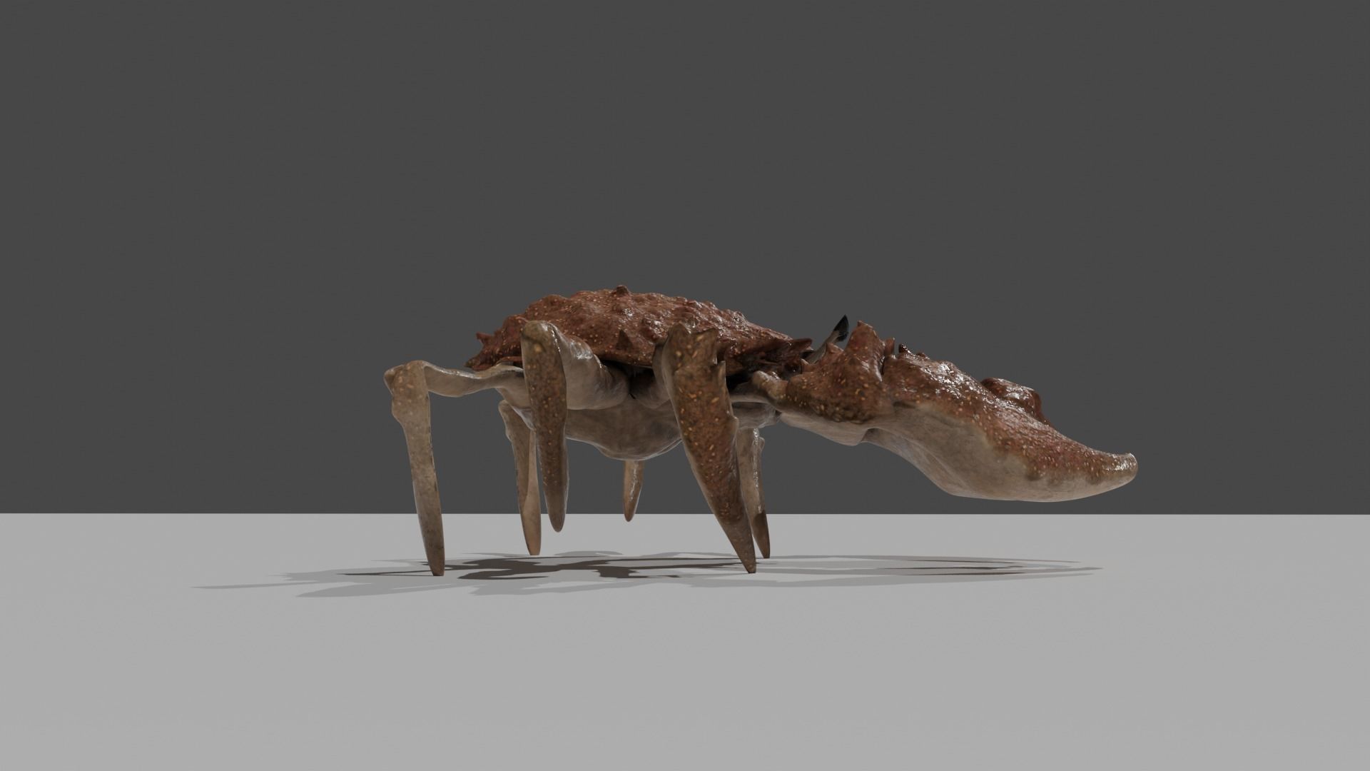 CRAB 001 Free 3D model_6