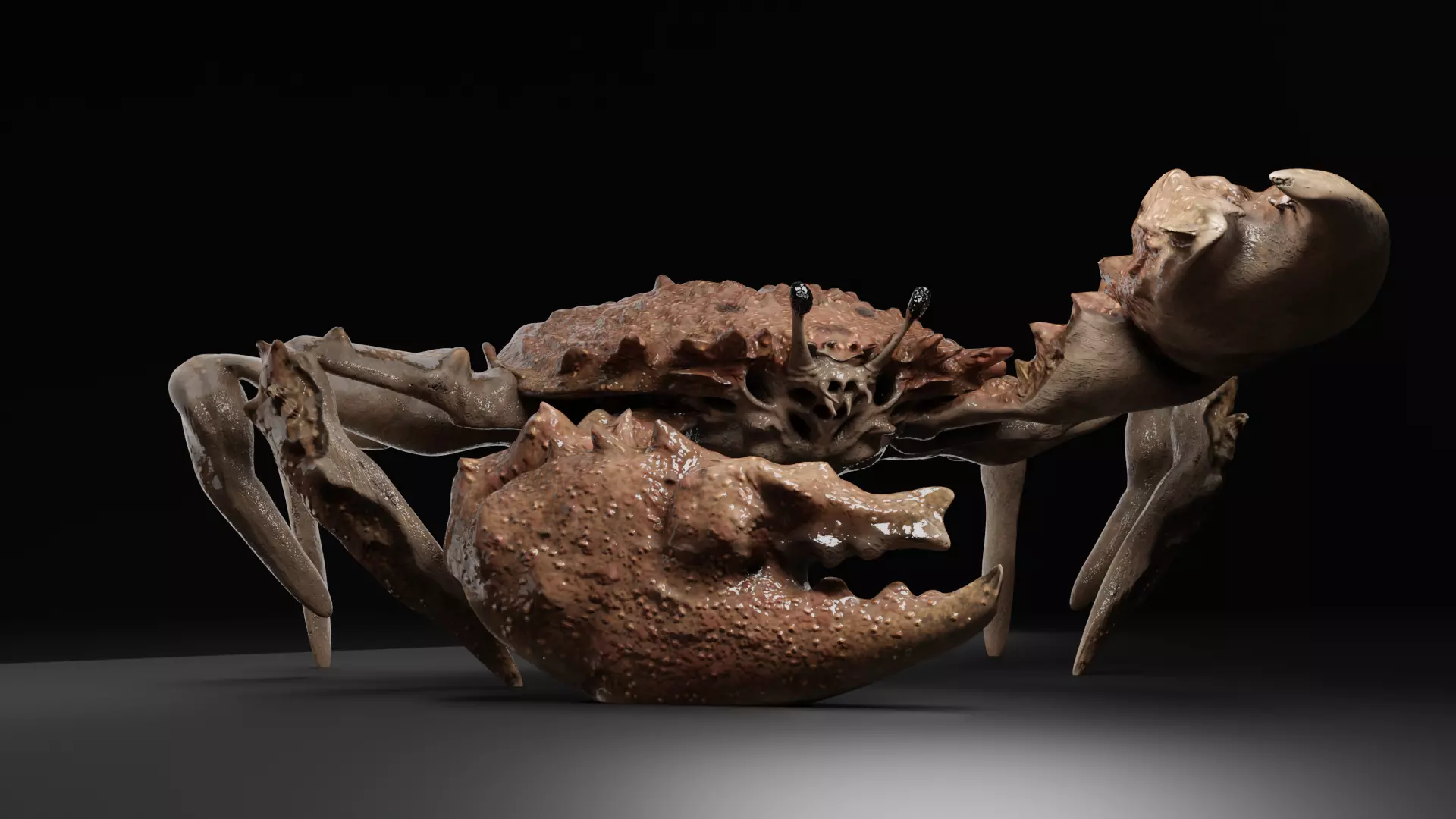 CRAB 001 Free 3D model_0