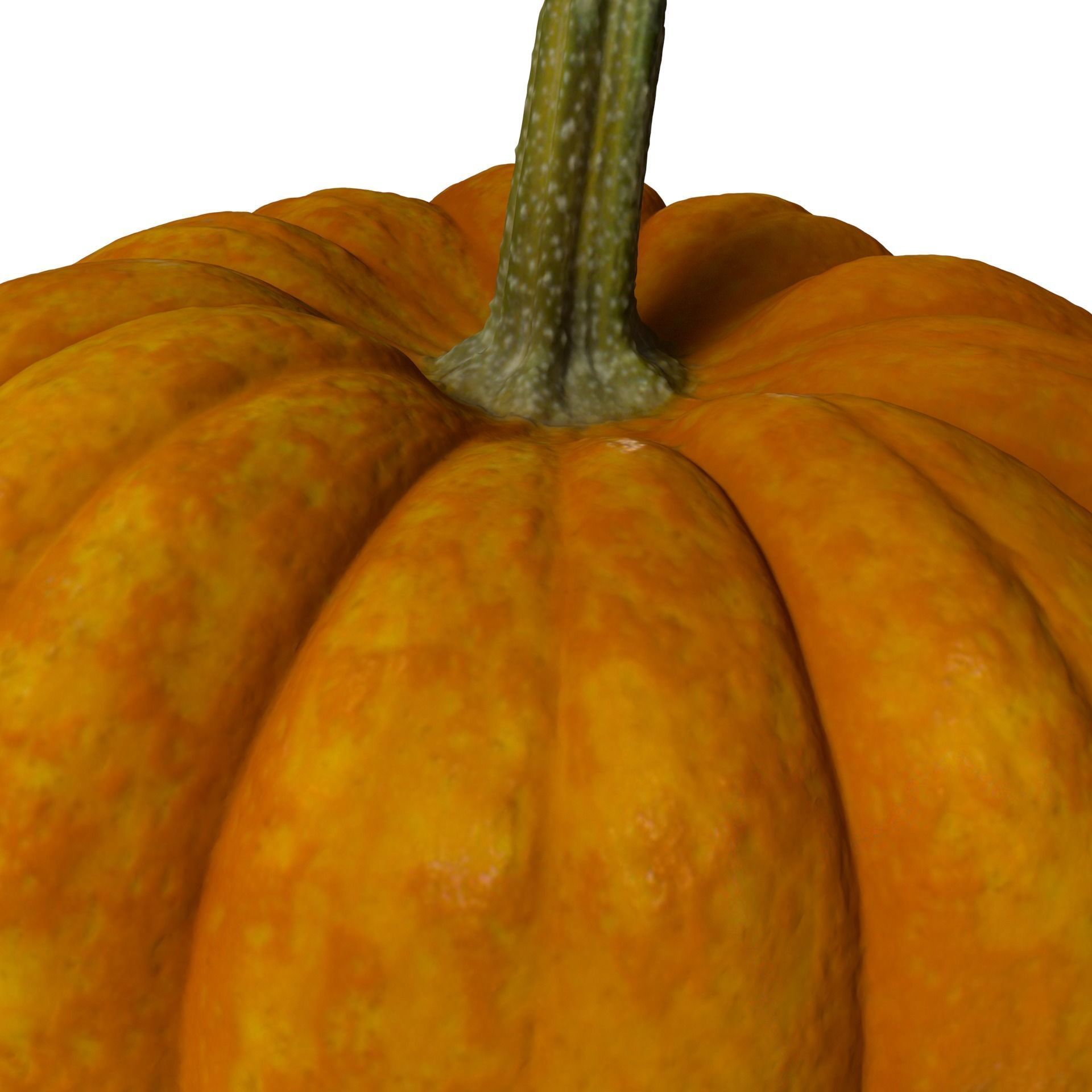 Pumpkin high resolution scan Free 3D model_2