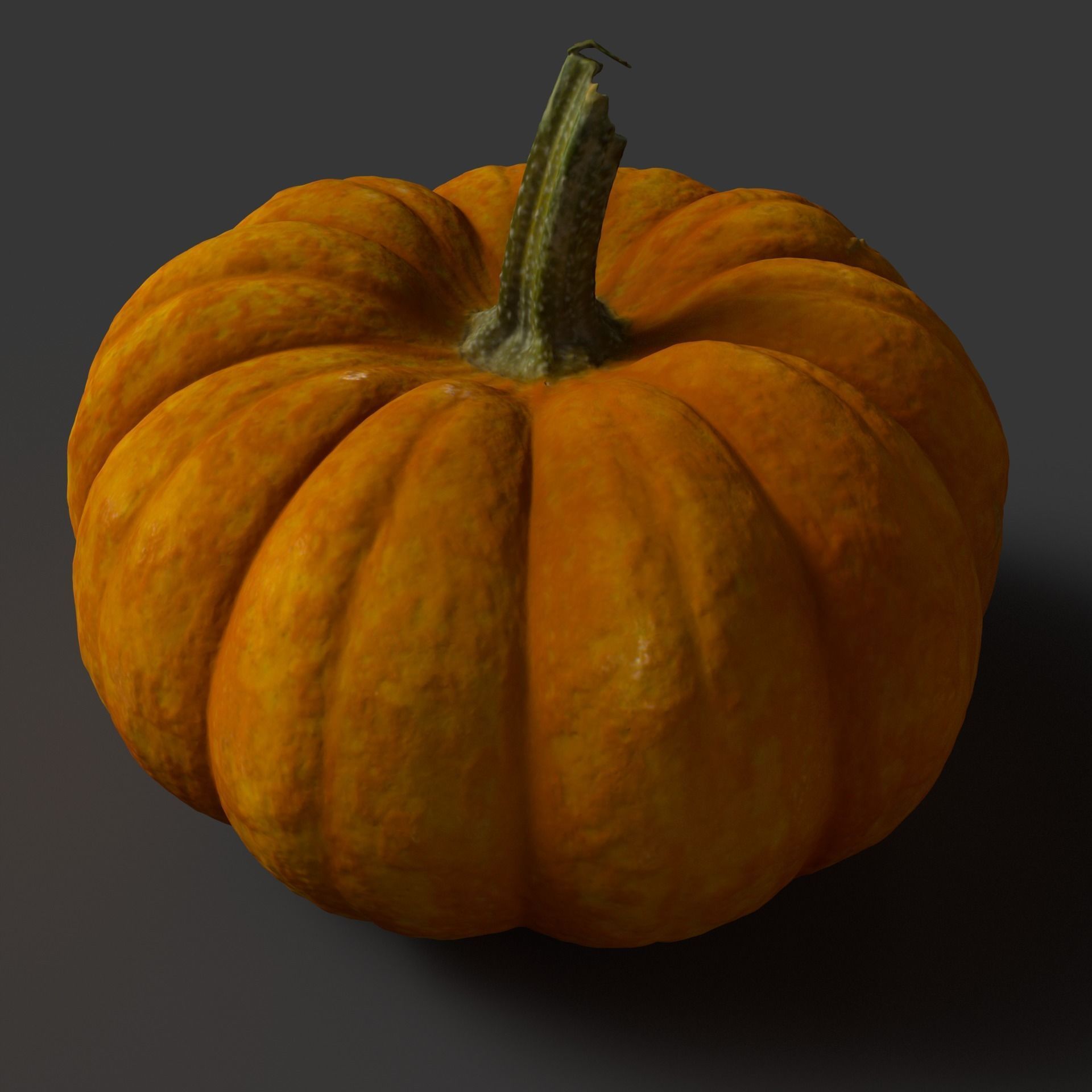 Pumpkin high resolution scan Free 3D model_3