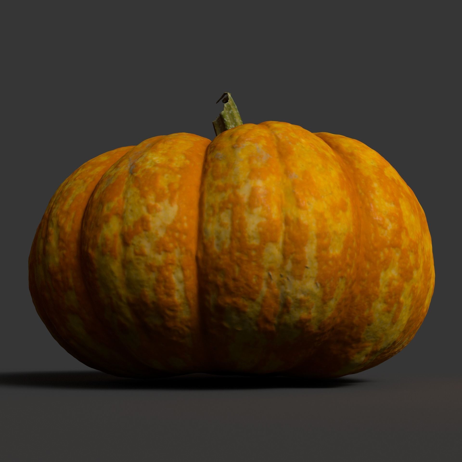 Pumpkin high resolution scan Free 3D model_5