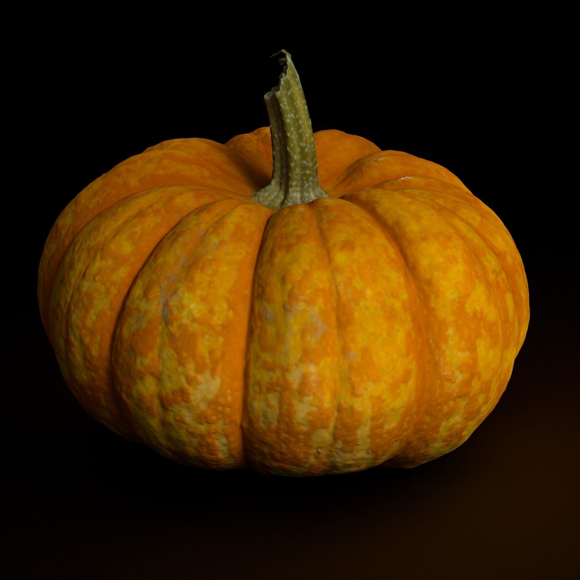 Pumpkin high resolution scan Free 3D model_4