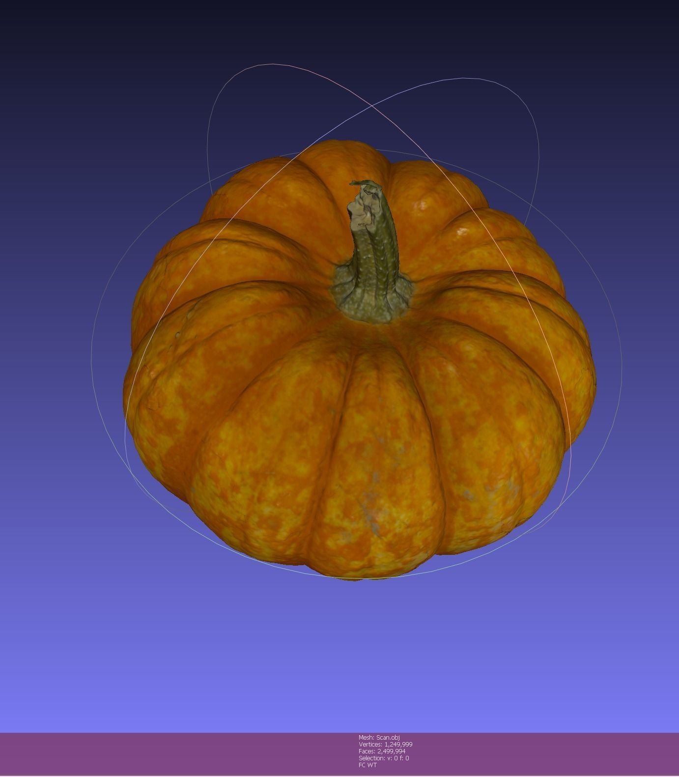 Pumpkin high resolution scan Free 3D model_7