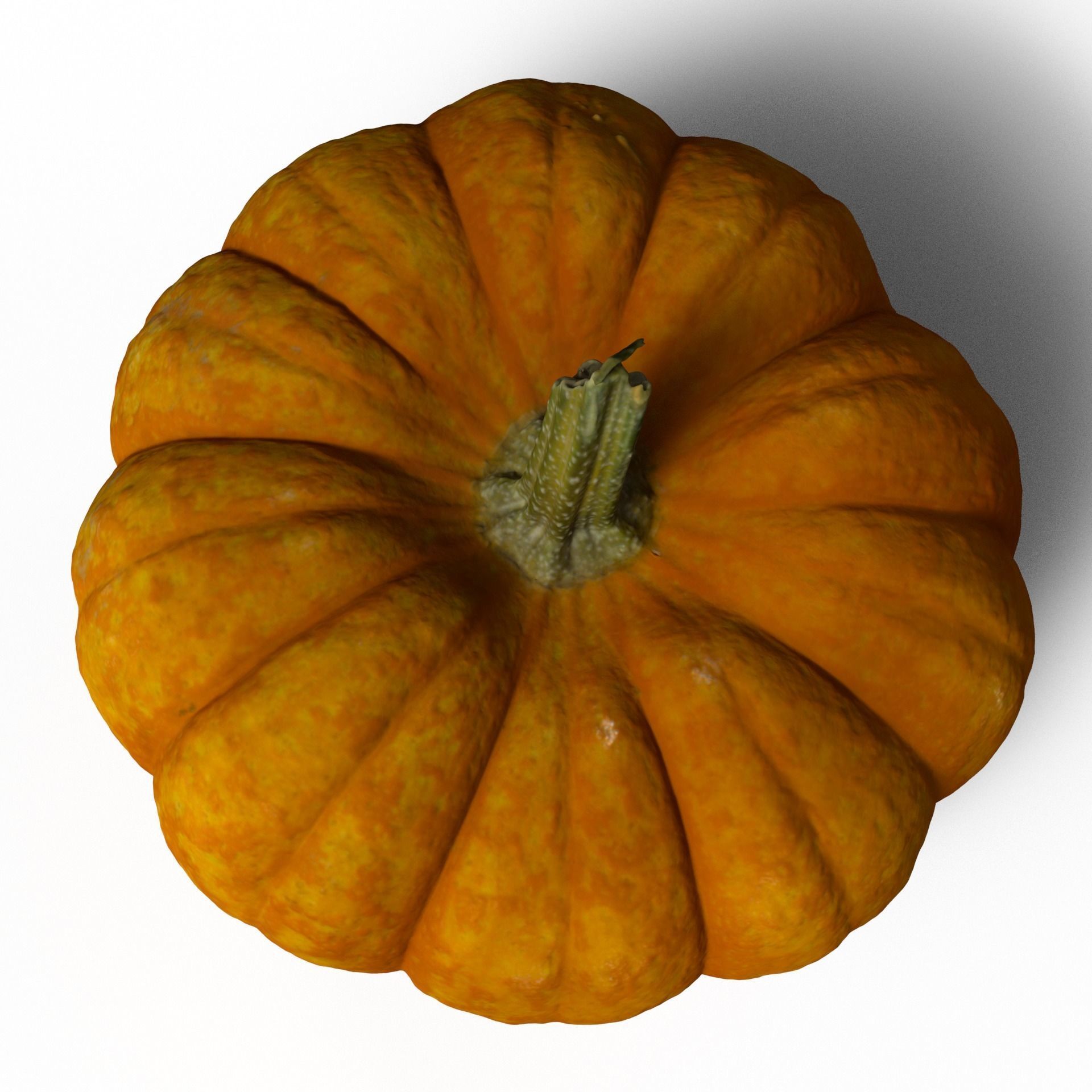Pumpkin high resolution scan Free 3D model_1