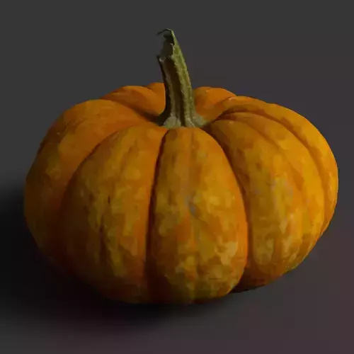 Pumpkin high resolution scan Free 3D model