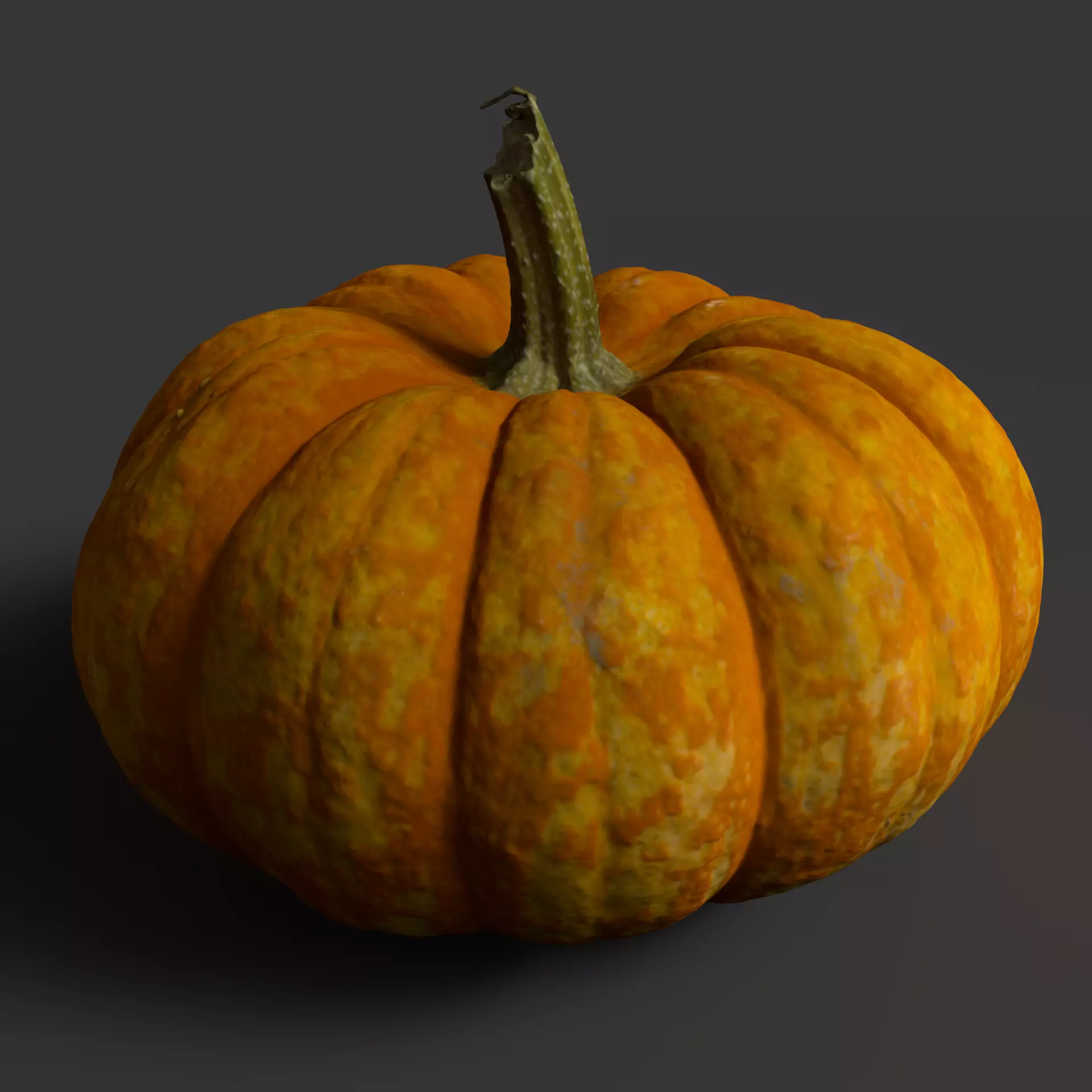 Pumpkin high resolution scan Free 3D model_0