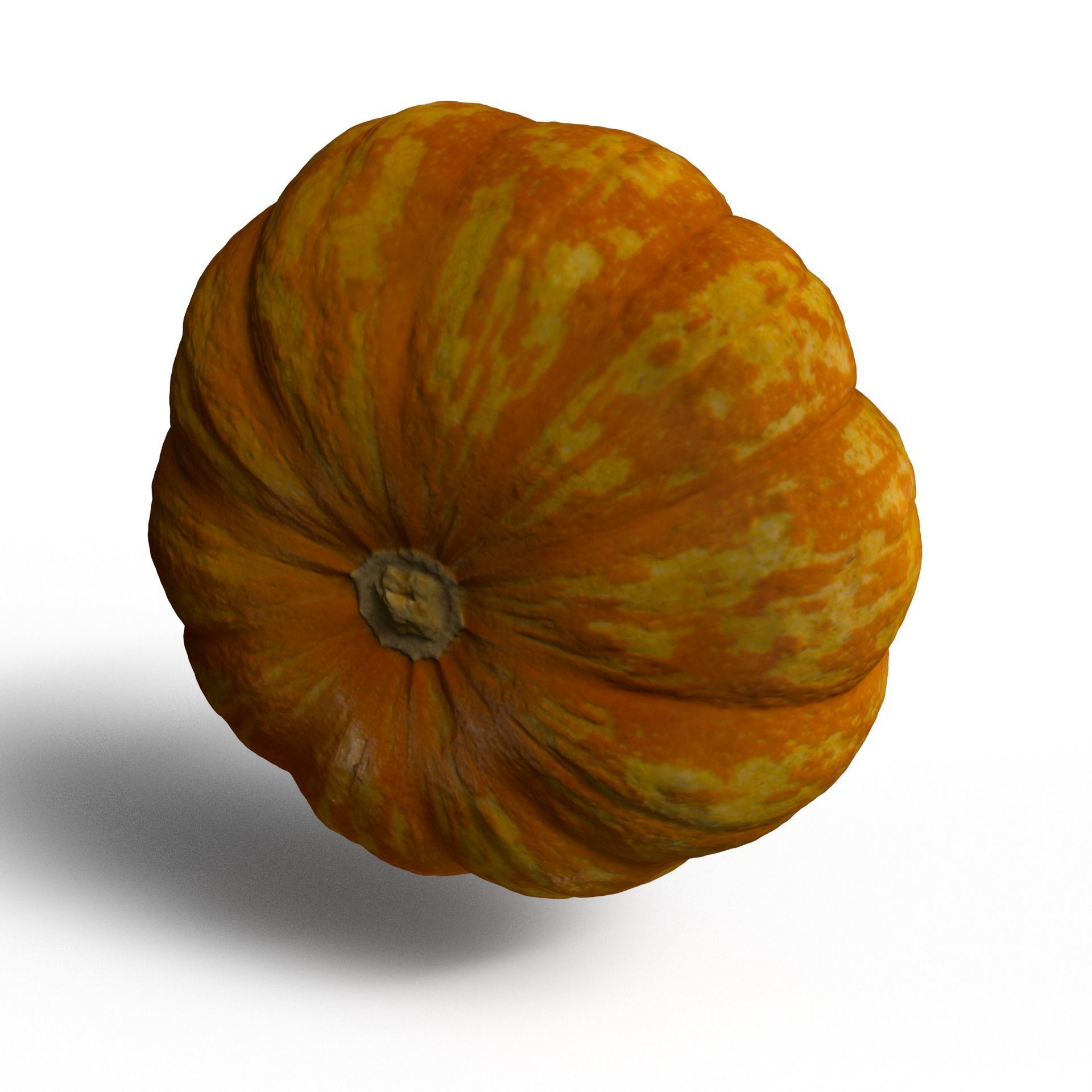 Pumpkin high resolution scan Free 3D model_6
