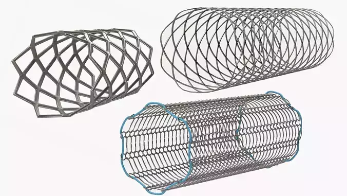 Various Stents Wallflex-Ultraflex-Palmaz Schatz Low-poly 3D model