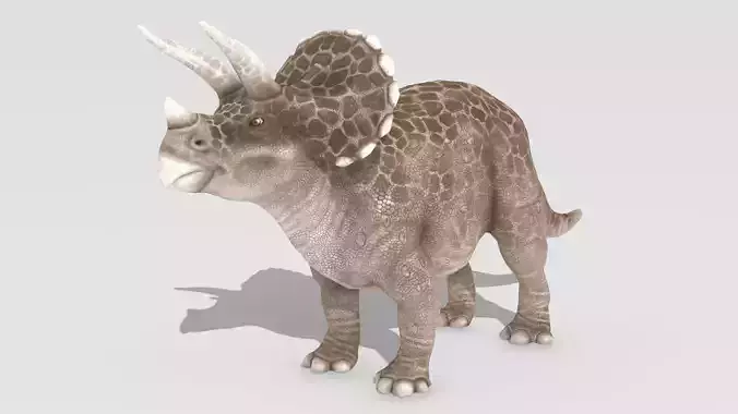 Triceratops Animated