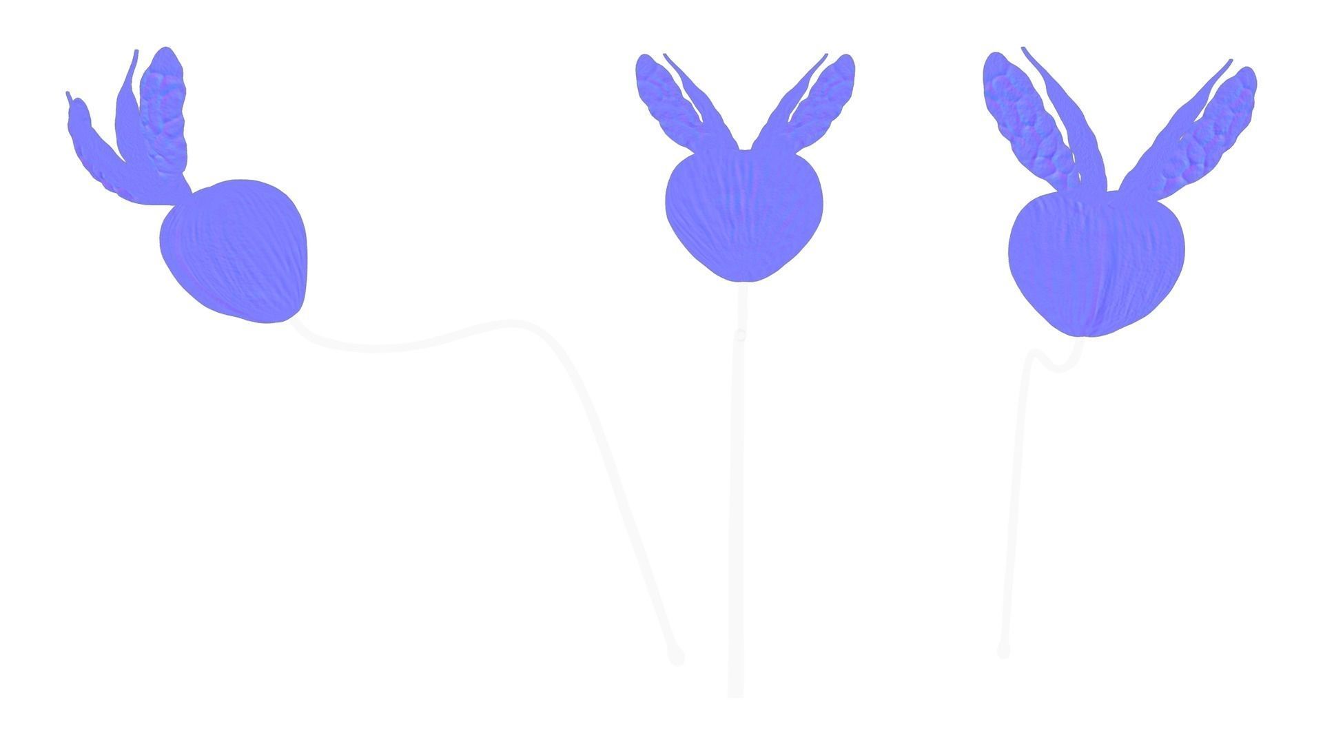 Prostate Anatomy 3D model_5