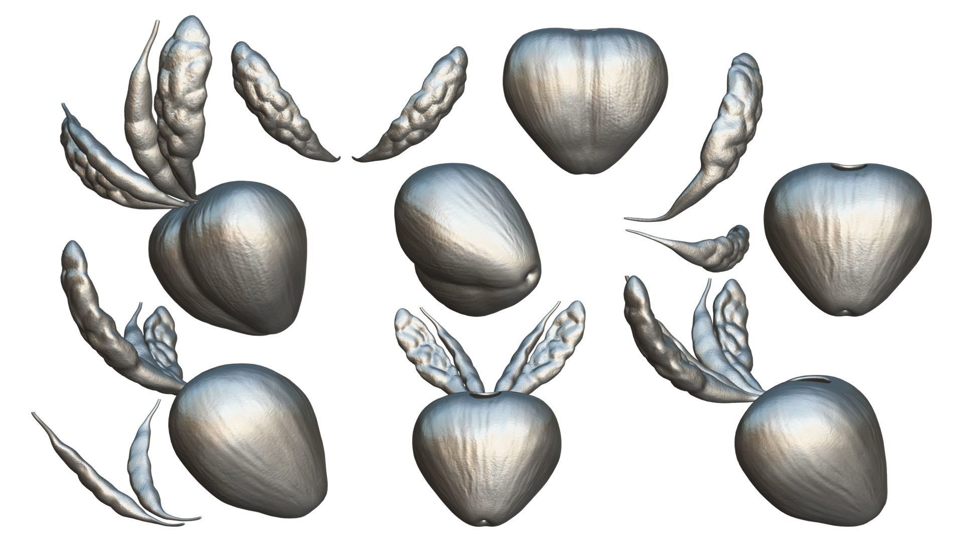 Prostate Anatomy 3D model_4