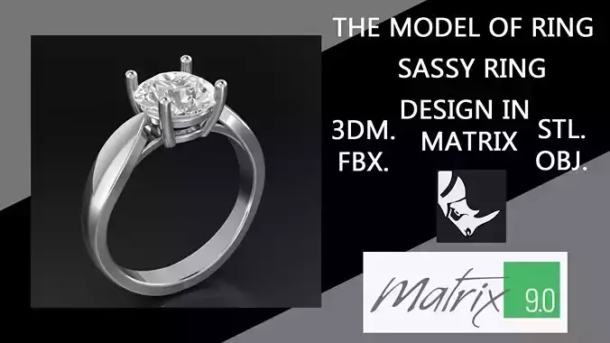 SASSY model of ring VOL 42 3D print model